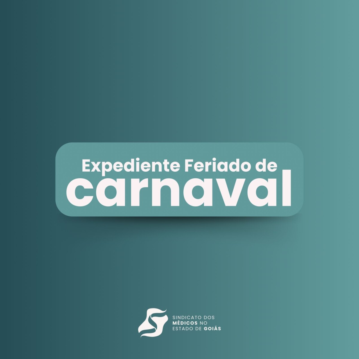 WhatsApp Image 2024 02 09 at 14.46.19