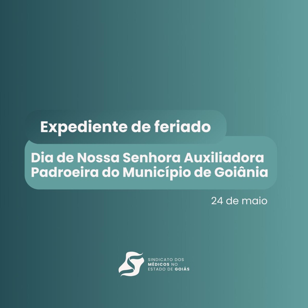 WhatsApp Image 2024 05 23 at 08.26.49 (1)