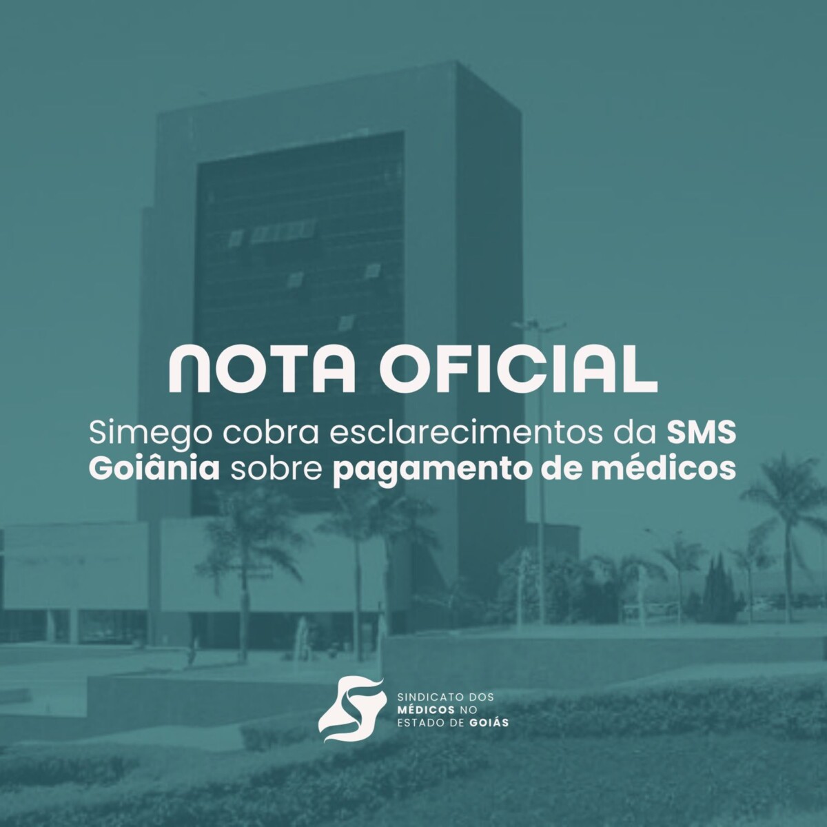 WhatsApp Image 2024 07 09 at 14.54.24