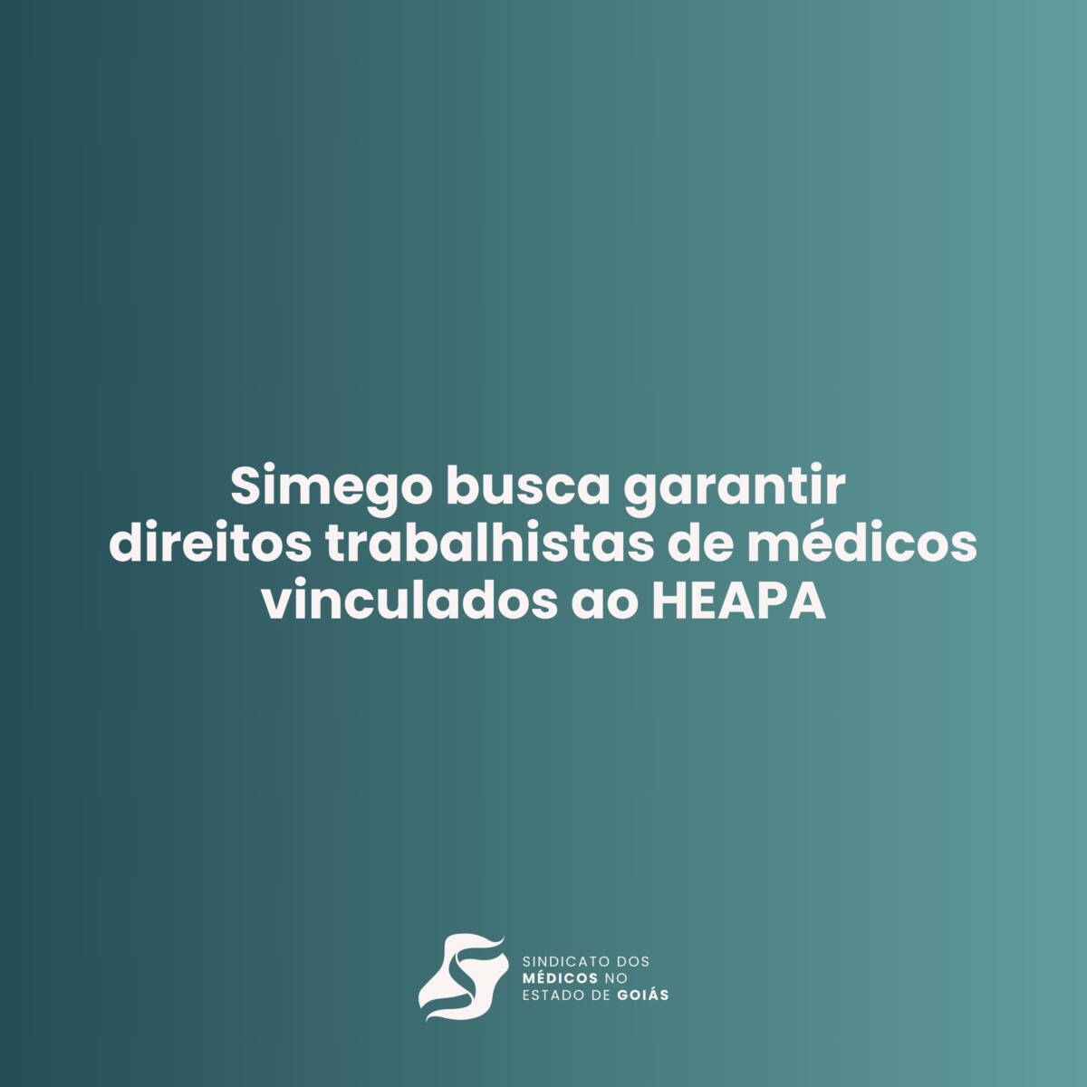 WhatsApp Image 2024 08 28 at 16.56.15