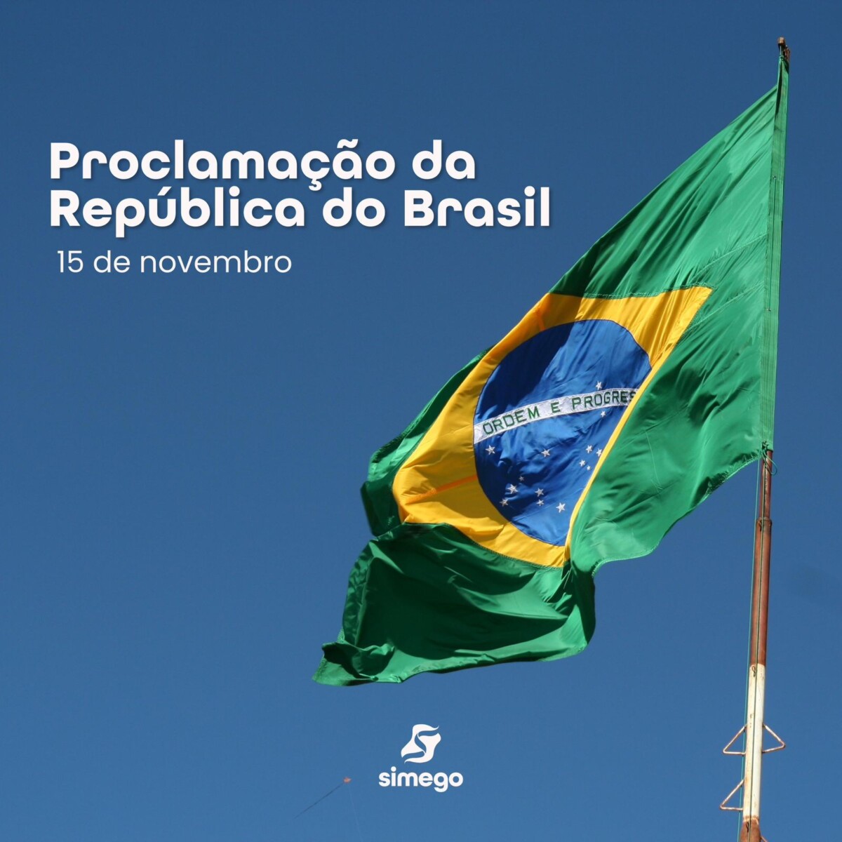 WhatsApp Image 2024 11 12 at 14.25.59