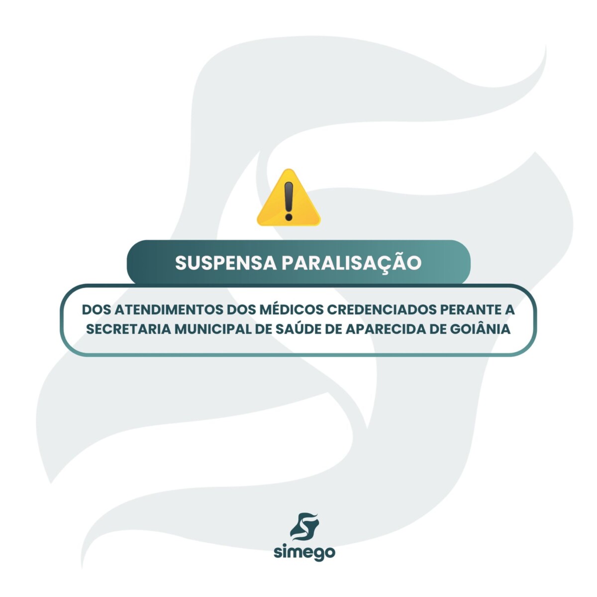 WhatsApp Image 2025 02 10 at 16.28.07