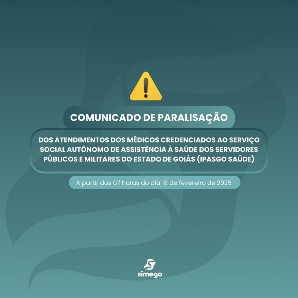 WhatsApp Image 2025 02 12 at 16.32.02