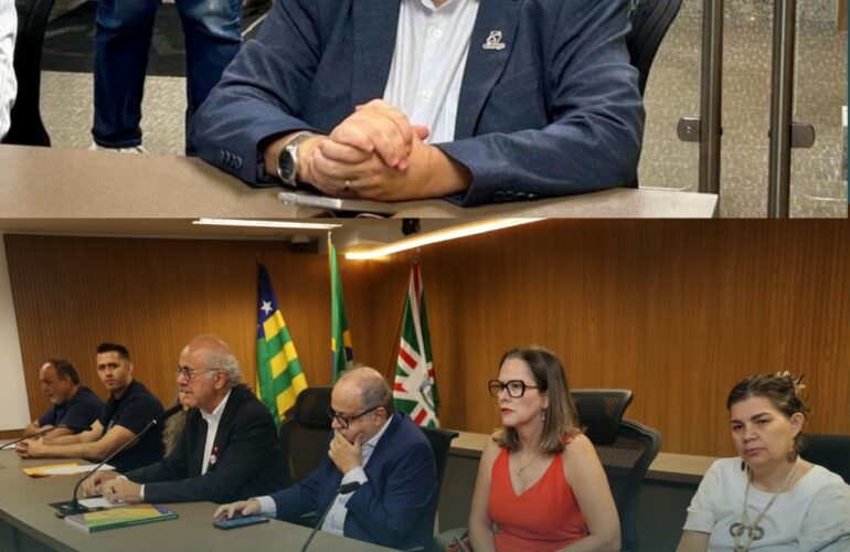Audiência na Assembleia Legislativa de Goiás celebra 90 anos do salário mínimo e política de valorização